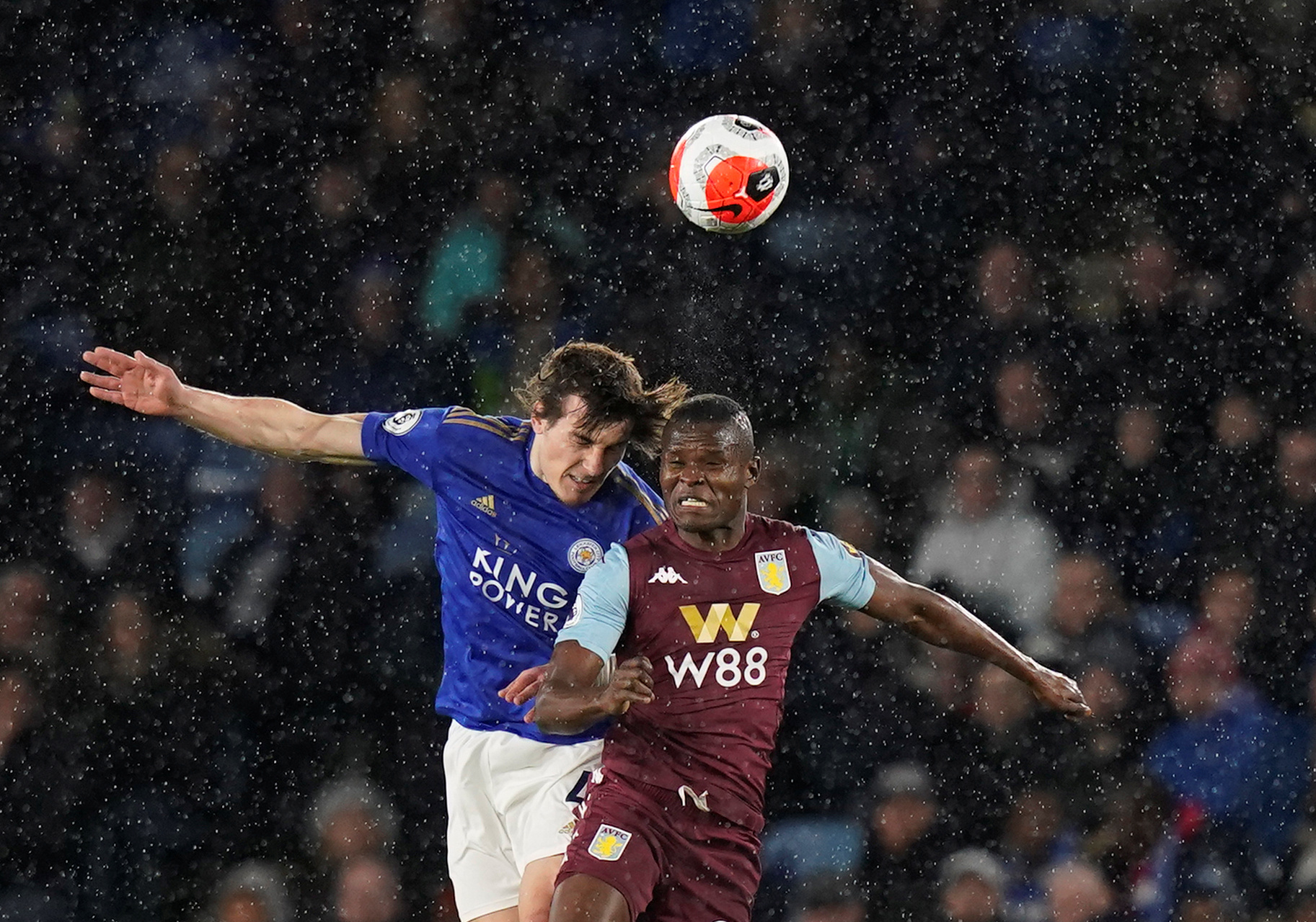 仅是球迷的 仅是球迷的