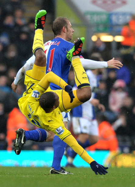 同时也揭示 同时也揭示